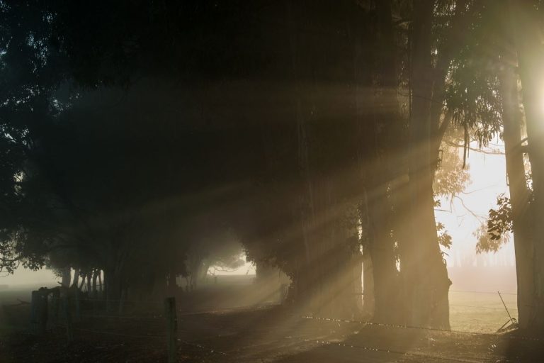 Light in the darkness