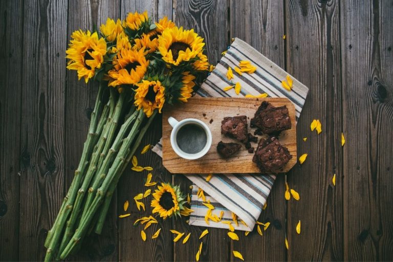 What Sunflowers Can Teach Us About Community