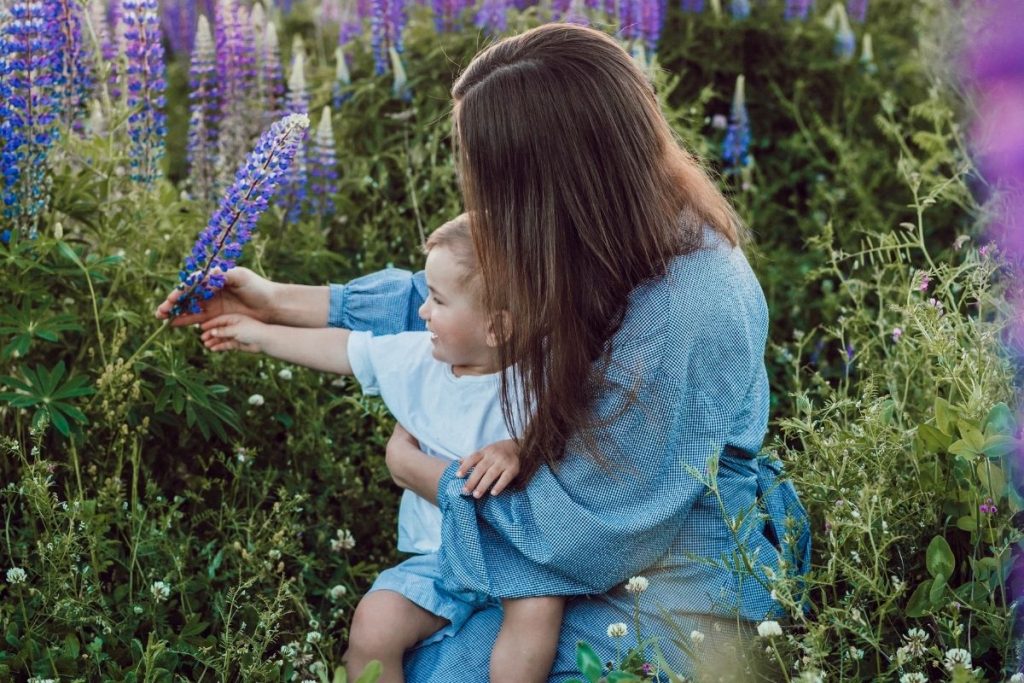A Dream From God: The Flowers Will Return Again