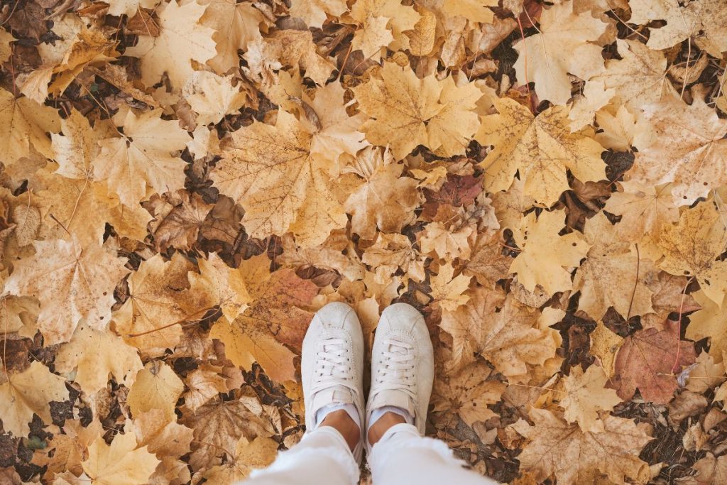 woman standing in the autumn leaves