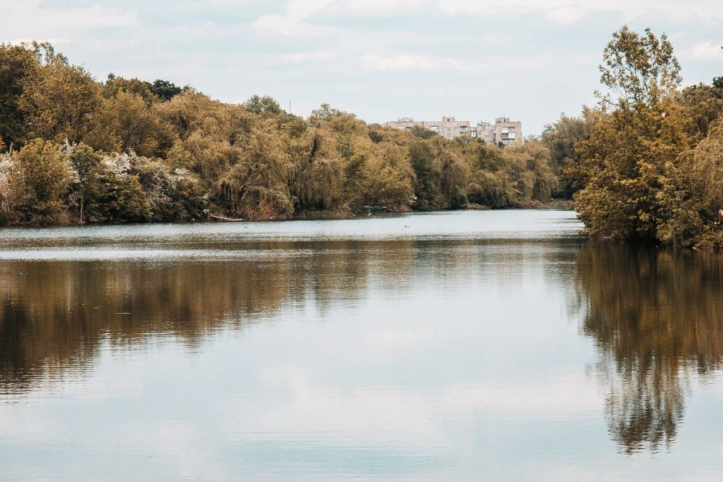 Earth day photo of a lake and surrounding trees