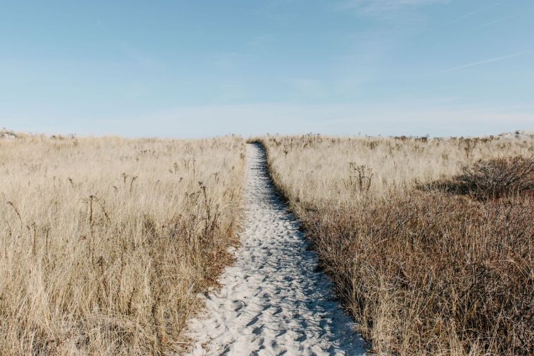 A beach pathway