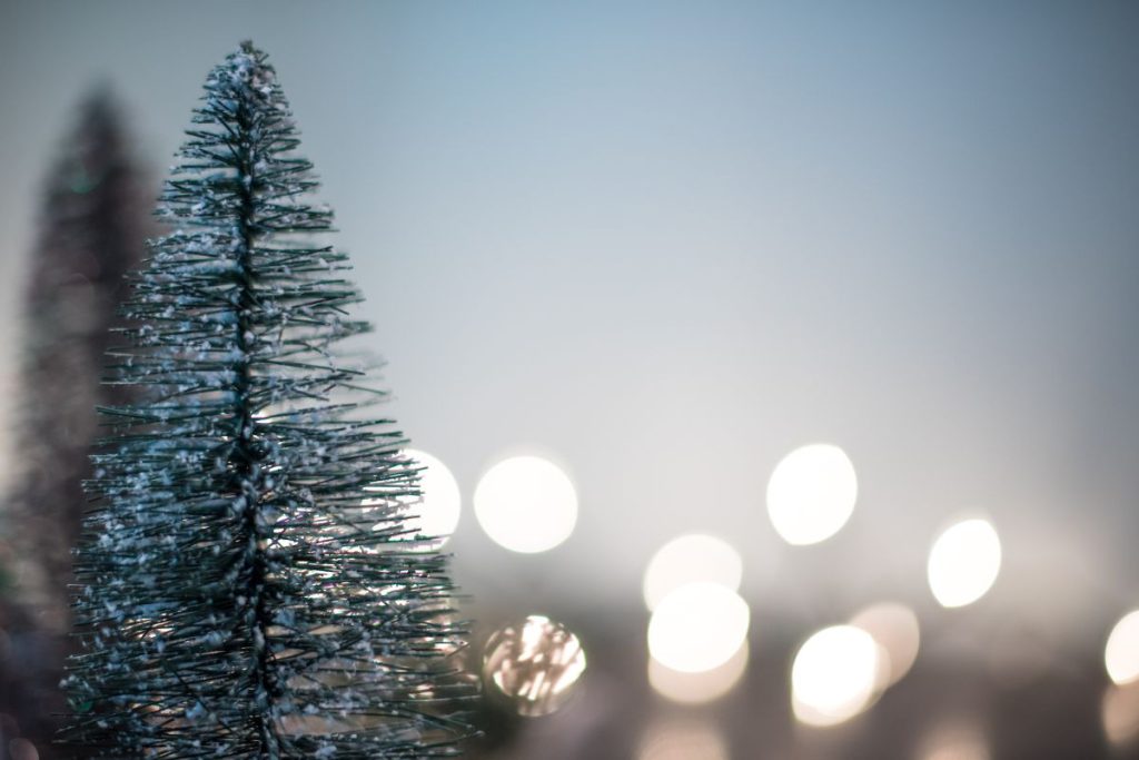 the Christmas that we adore