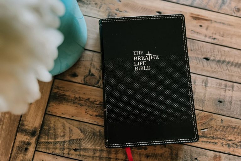 The Breathe Life Bible