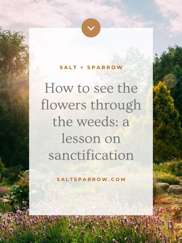 how to see the flowers through the weeds