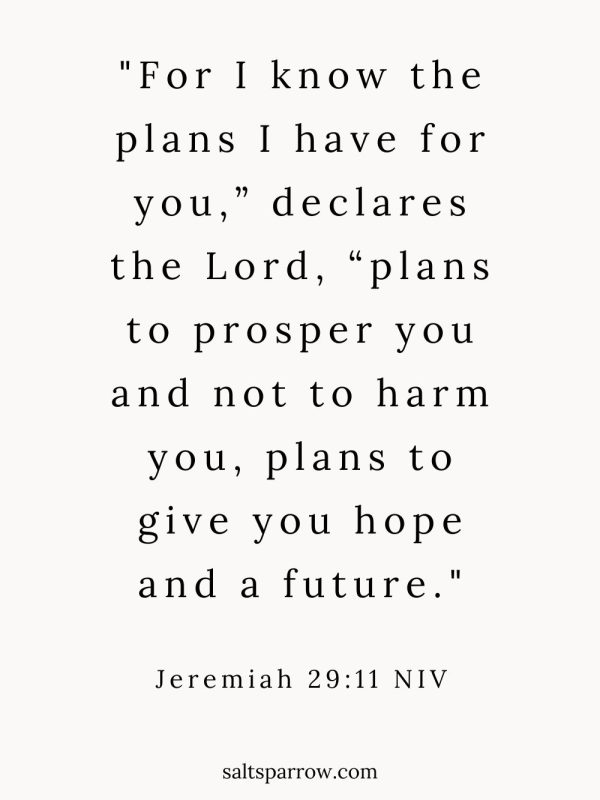 "For I know the plans I have for you,” declares the Lord, “plans to prosper you and not to harm you, plans to give you hope and a future."

Jeremiah 29:11 NIV