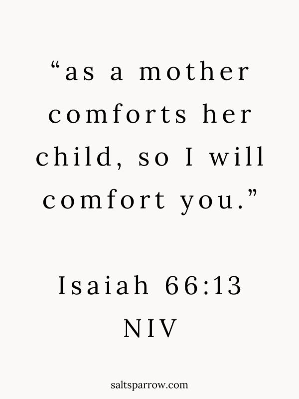 Isaiah 66:13