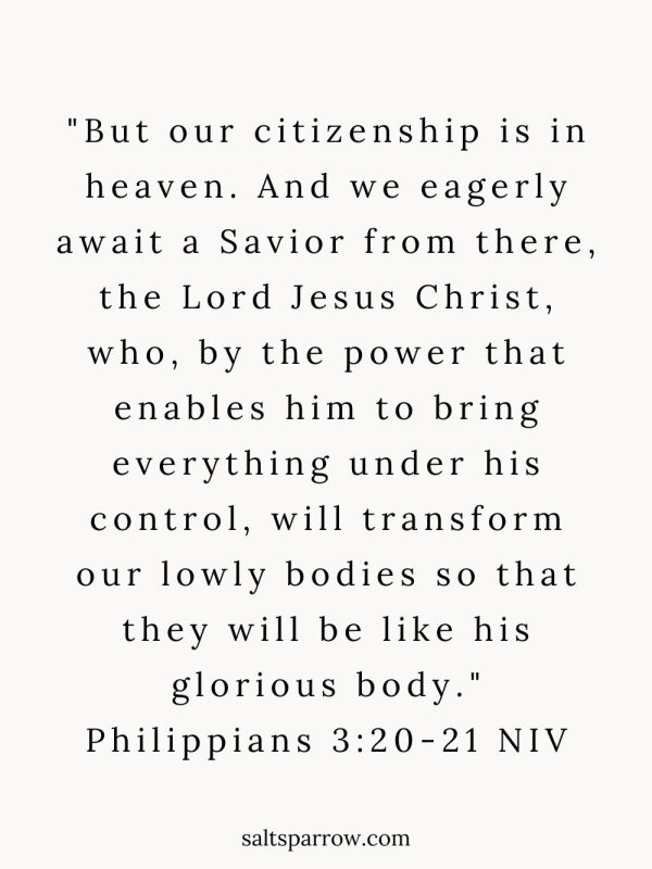 "But our citizenship is in heaven. And we eagerly await a Savior from there, the Lord Jesus Christ, who, by the power that enables him to bring everything under his control, will transform our lowly bodies so that they will be like his glorious body." 

Philippians 3:20-21 NIV