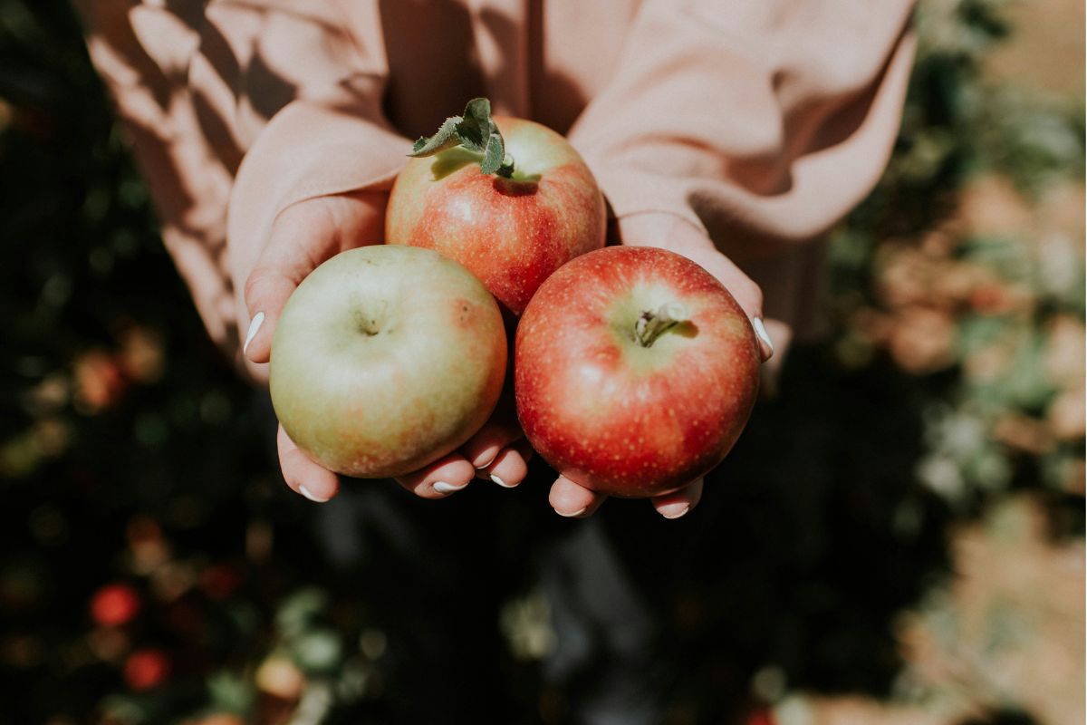 a woman holding three apples