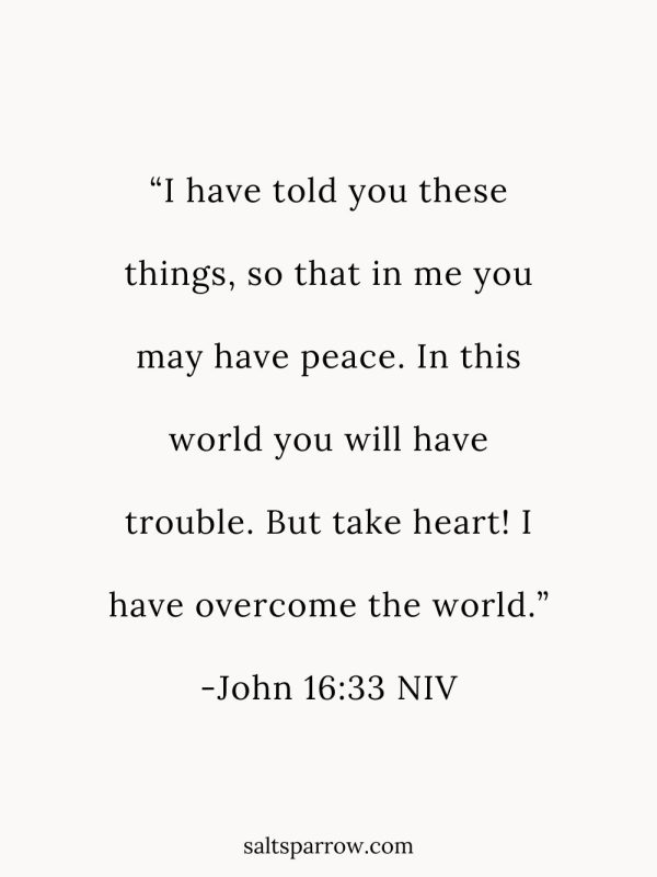 “I have told you these things, so that in me you may have peace. In this world you will have trouble. But take heart! I have overcome the world.”