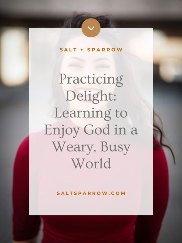 Practicing Delight: Learning to Enjoy God in a Weary, Busy World