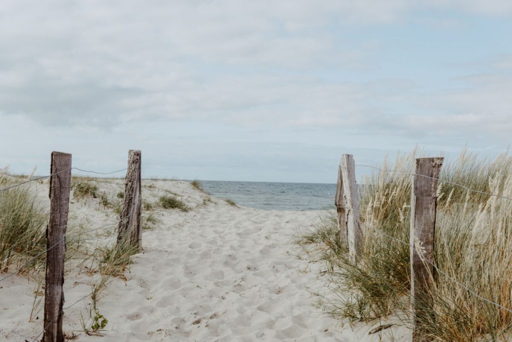 boardwalk to the beach