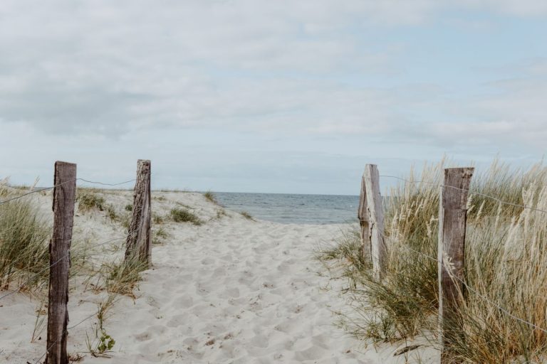 boardwalk to the beach