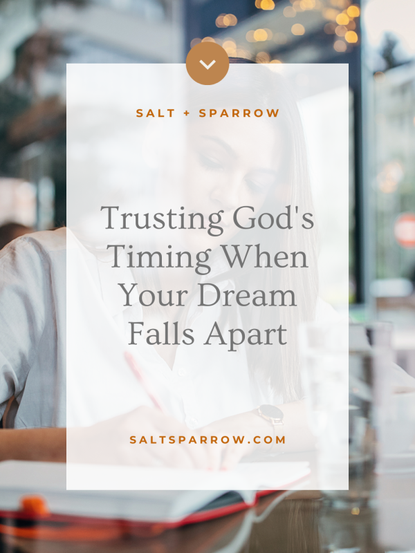 Trusting God's Timing When Your Dream Falls Apart