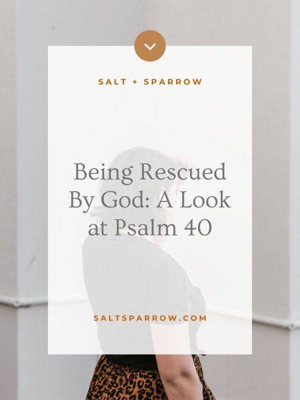 Being Rescued By God: A Look at Psalm 40